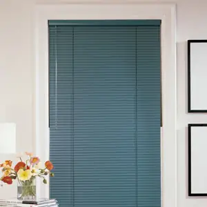 Mini Blinds photo 19 of 20