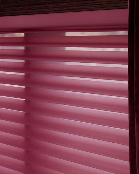 Window Shadings photo 18 of 34