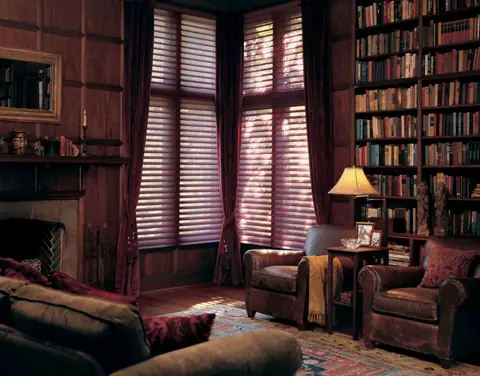 Window Shadings photo 24 of 34