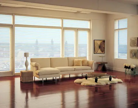 Window Shadings photo 29 of 34